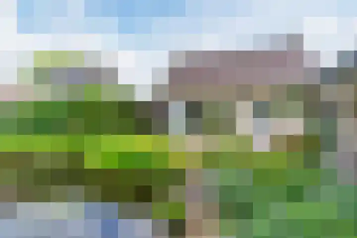 Koppenhoek 27 Eersel thumbnail 43