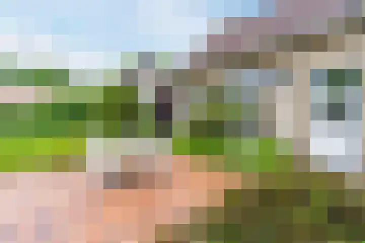 Koppenhoek 27 Eersel thumbnail 45