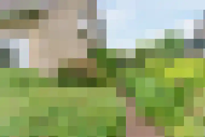 Koppenhoek 27 Eersel thumbnail 46
