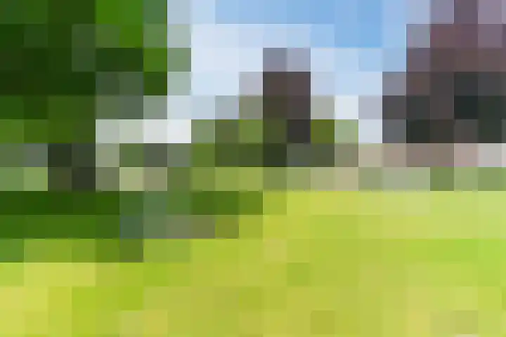 Koppenhoek 27 Eersel thumbnail 49