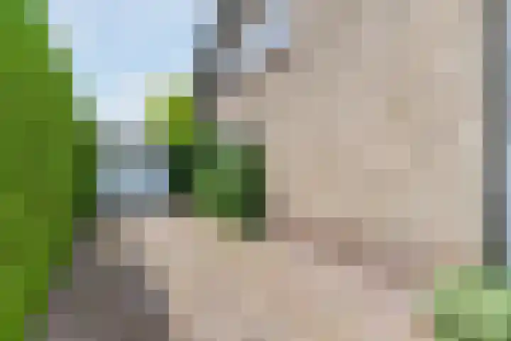 Koppenhoek 27 Eersel thumbnail 5