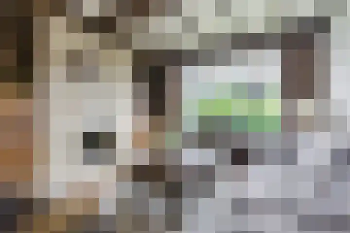 Koppenhoek 27 Eersel thumbnail 8
