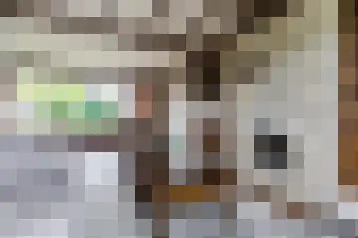 Koppenhoek 27 Eersel thumbnail 9