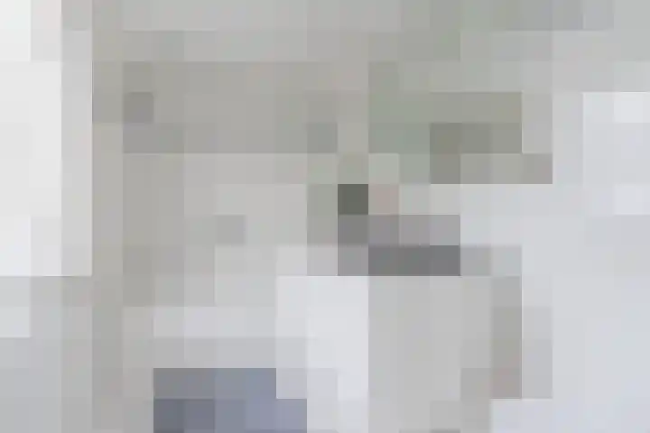 Koppenhoek 9 Eersel thumbnail 36