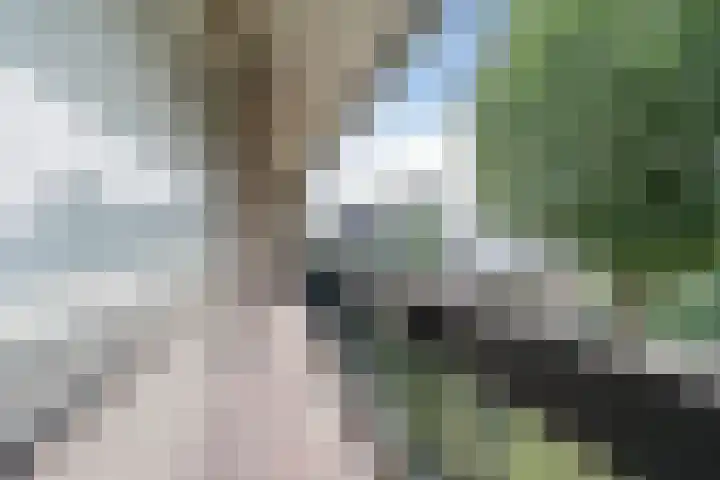 Koppenhoek 9 Eersel thumbnail 41