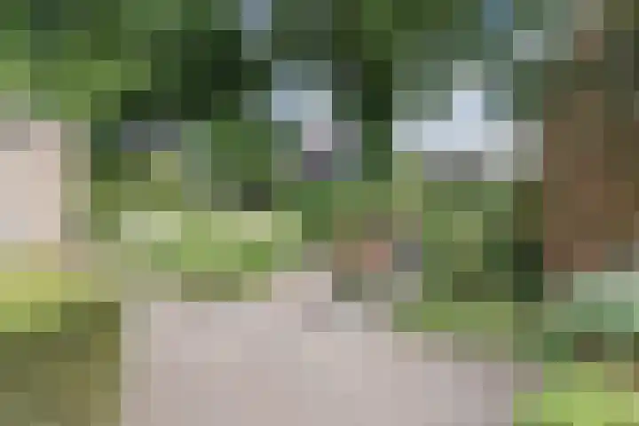 Koppenhoek 9 Eersel thumbnail 47