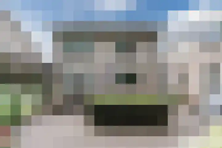 Koppenhoek 9 Eersel thumbnail 49
