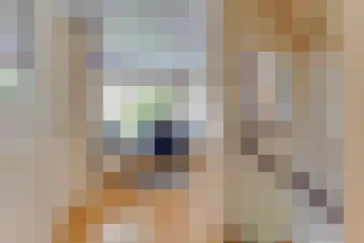 Koppenhoeve 37 Wognum thumbnail 18