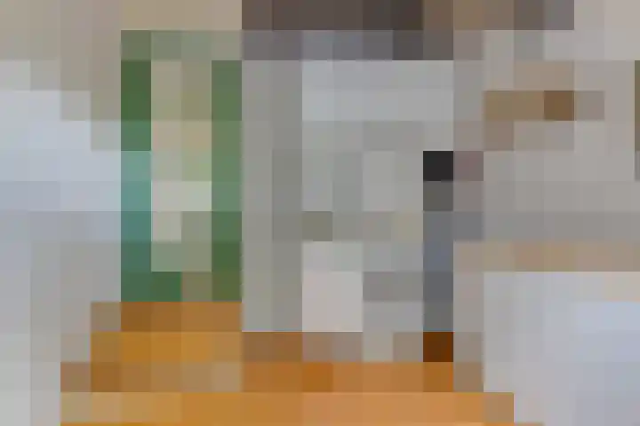 Koppenhoeve 37 Wognum thumbnail 26