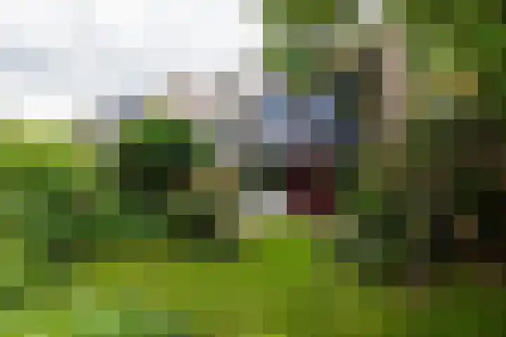 Koppenhoeve 37 Wognum thumbnail 35
