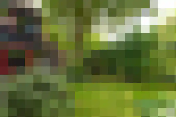 Koppenhoeve 37 Wognum thumbnail 38