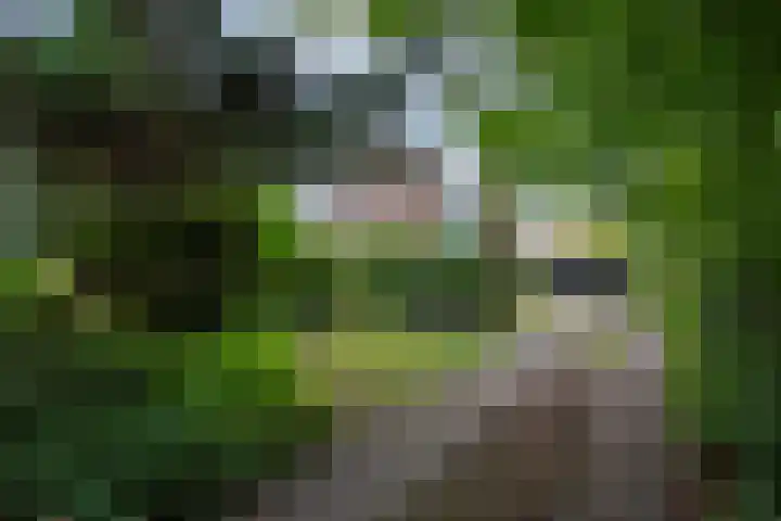 Koppenhoeve 37 Wognum thumbnail 39