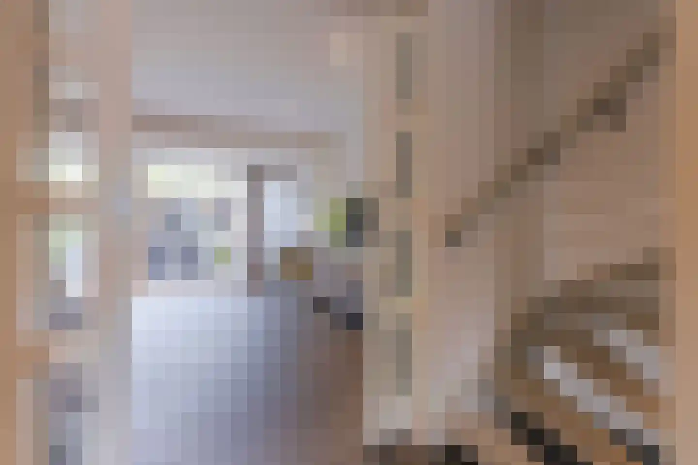 Koppenhoeve 53 Wognum thumbnail 12