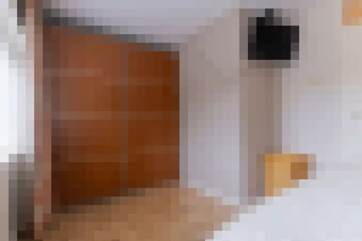 Koppenhoeve 53 Wognum thumbnail 19