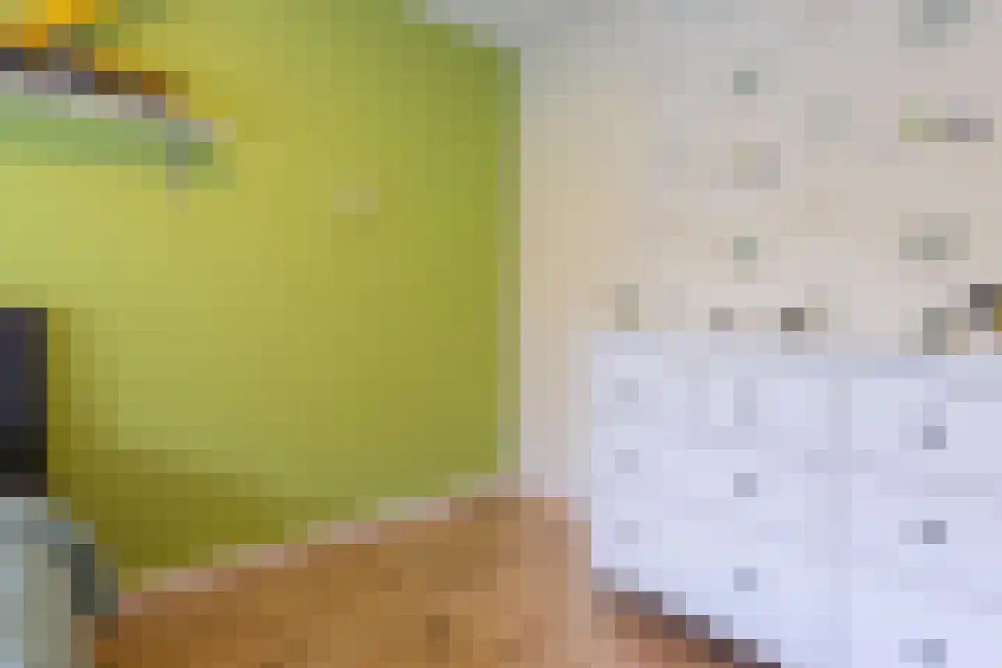 Koppenhoeve 53 Wognum thumbnail 24