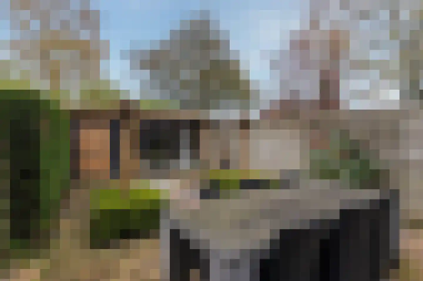 Koppenhoeve 53 Wognum thumbnail 35