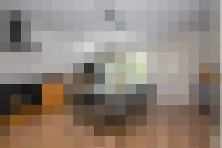 Koppenhoeve 55 Wognum thumbnail 11
