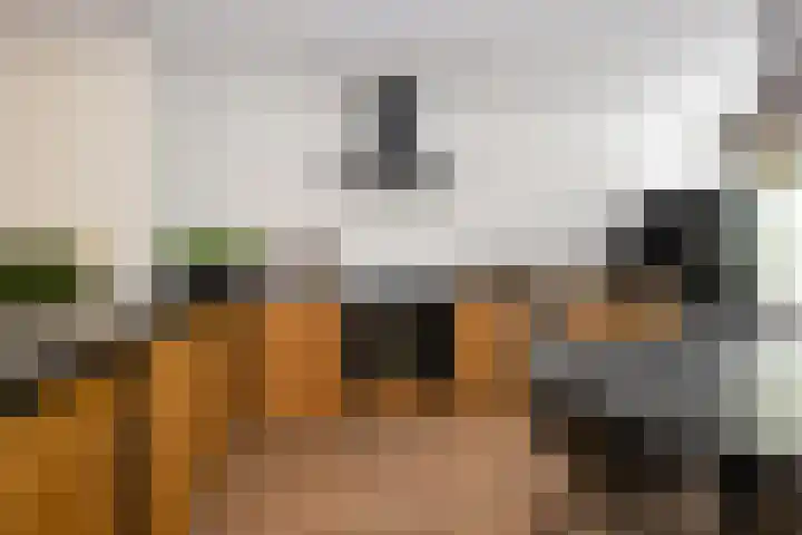 Koppenhoeve 55 Wognum thumbnail 12