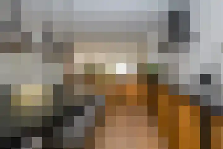 Koppenhoeve 55 Wognum thumbnail 13