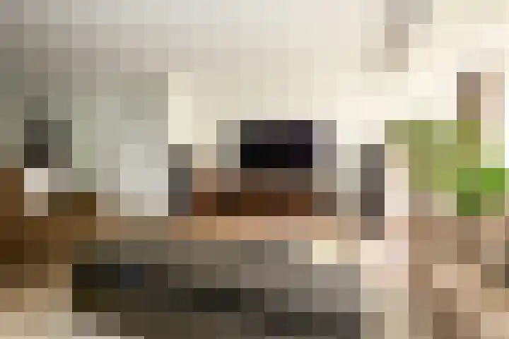 Koppenhoeve 55 Wognum thumbnail 15