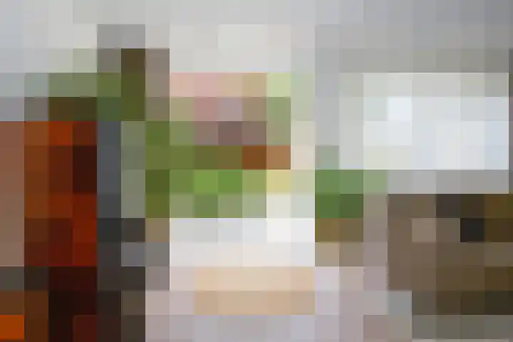 Koppenhoeve 55 Wognum thumbnail 18