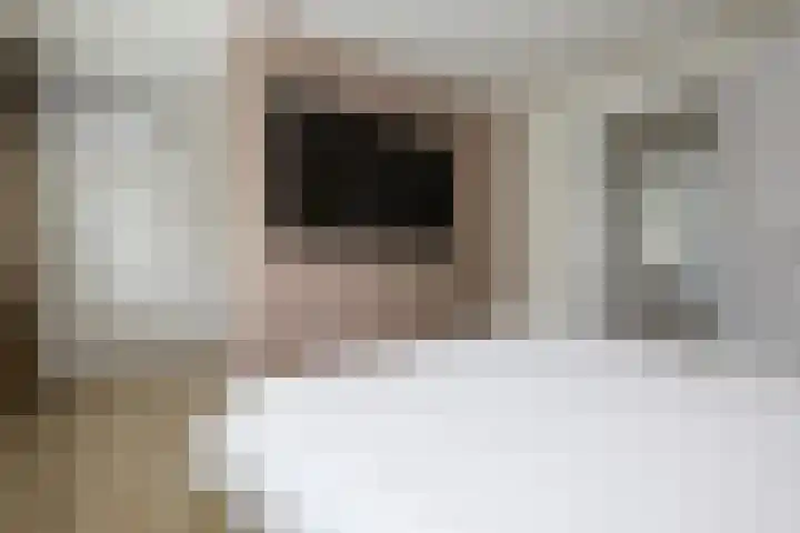 Koppenhoeve 55 Wognum thumbnail 21