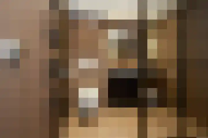 Koppenhoeve 55 Wognum thumbnail 25