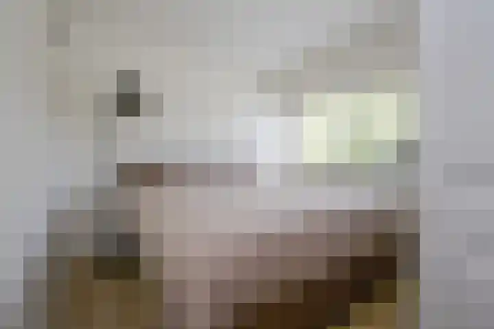Koppenhoeve 55 Wognum thumbnail 29