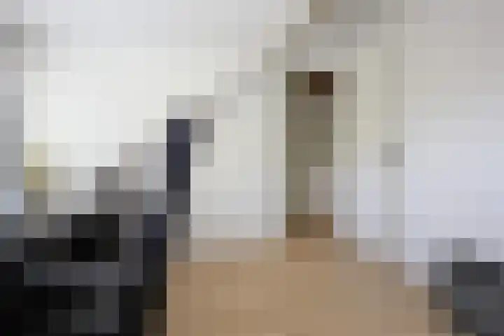 Koppenhoeve 55 Wognum thumbnail 37