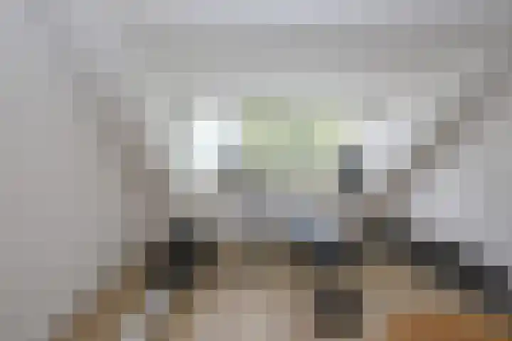 Koppenhoeve 55 Wognum thumbnail 41