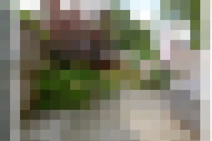 Koppenhoeve 55 Wognum thumbnail 44