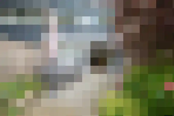 Koppenhoeve 55 Wognum thumbnail 45