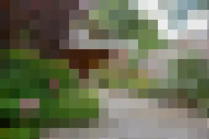 Koppenhoeve 55 Wognum thumbnail 46