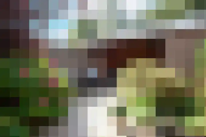 Koppenhoeve 55 Wognum thumbnail 47