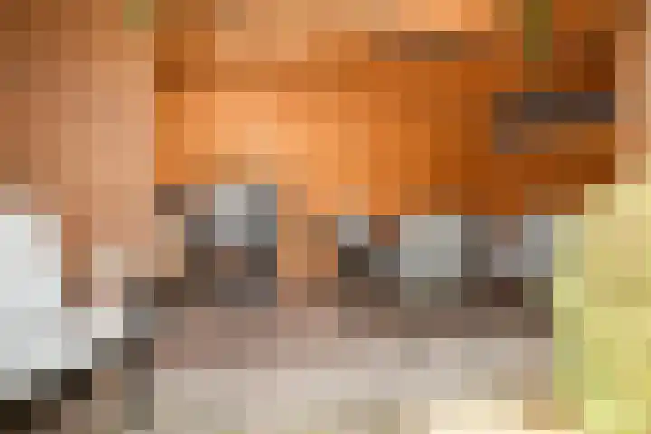 Koppenhoeve 55 Wognum thumbnail 48