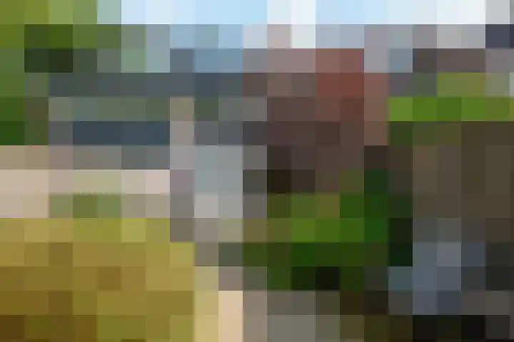 Koppenhoeve 55 Wognum thumbnail 49