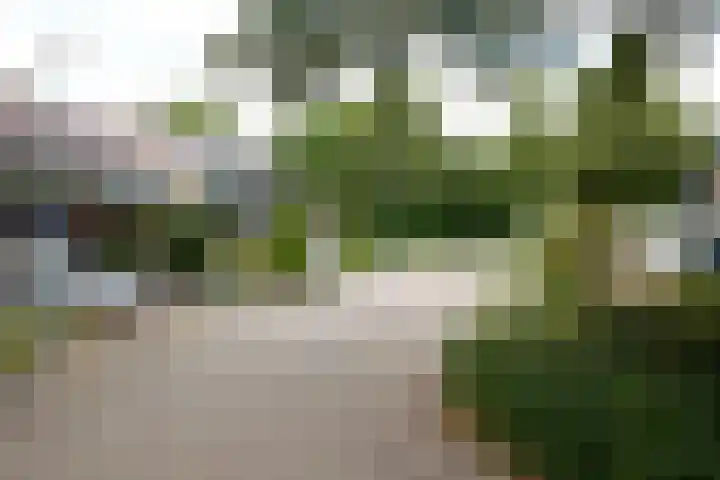 Koppenhoeve 55 Wognum thumbnail 52