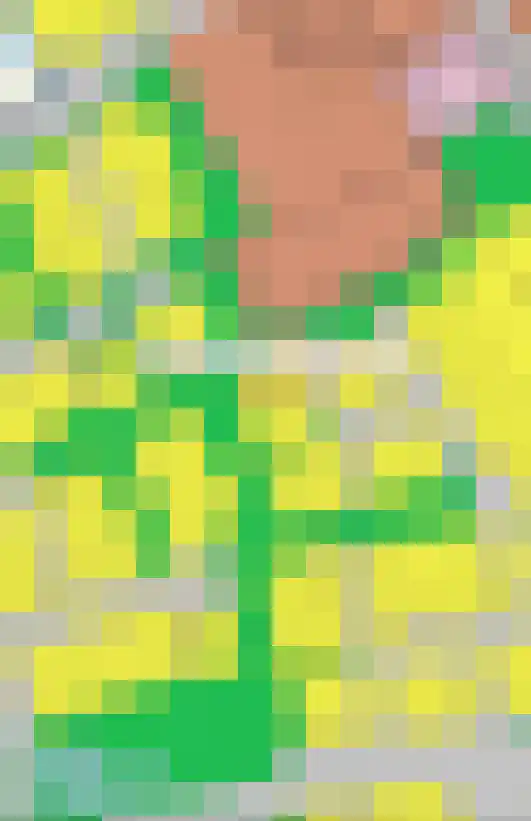 Koppenhoeve 55 Wognum thumbnail 55
