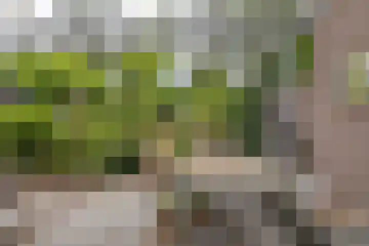 Koppenlaan 1 Soesterberg thumbnail 10