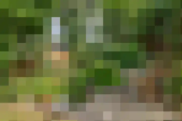 Koppenlaan 1 Soesterberg thumbnail 11