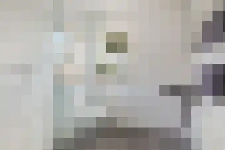 Koppenlaan 1 Soesterberg thumbnail 28