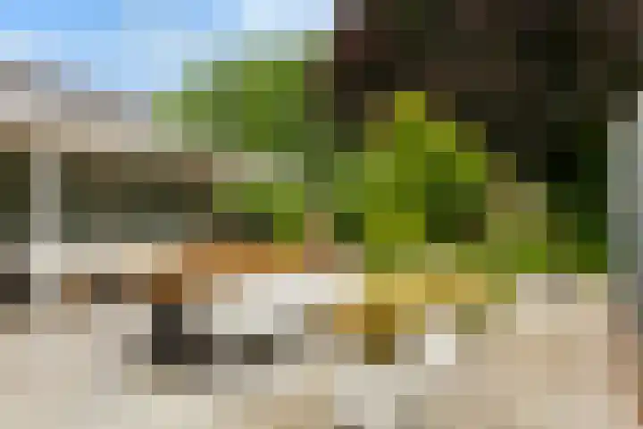 Koppenlaan 2 Soesterberg thumbnail 28