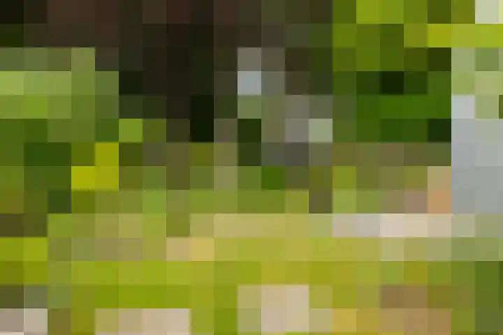 Koppenlaan 2 Soesterberg thumbnail 31