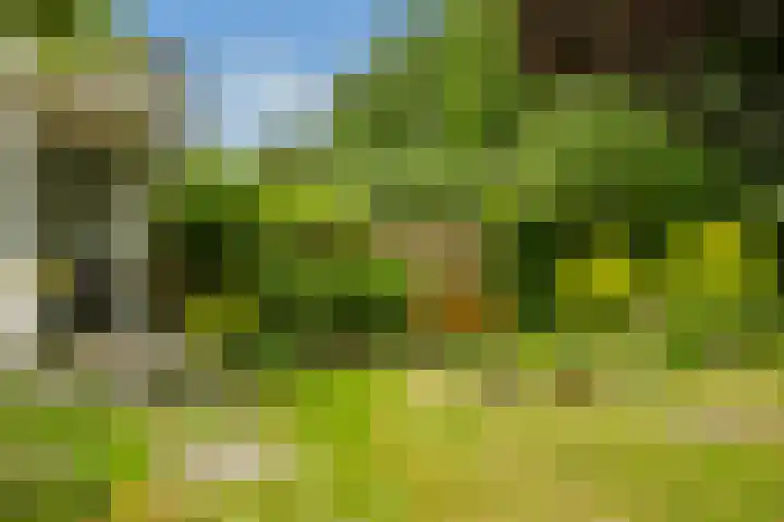 Koppenlaan 2 Soesterberg thumbnail 32