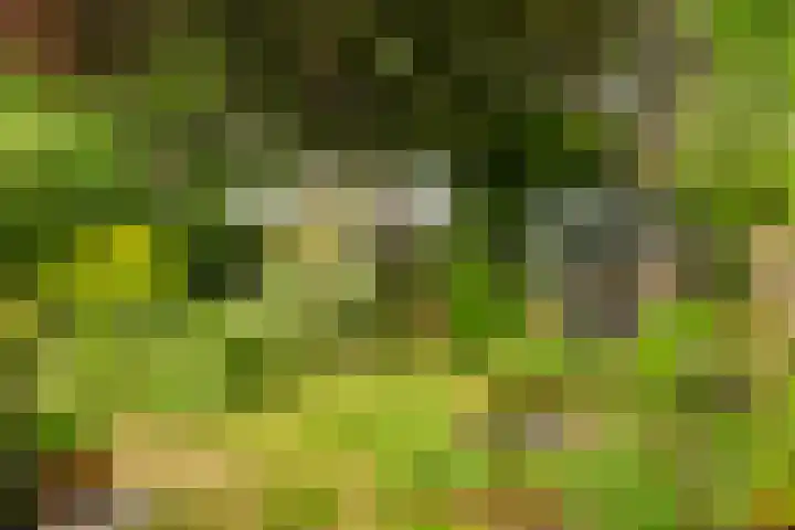 Koppenlaan 2 Soesterberg thumbnail 33