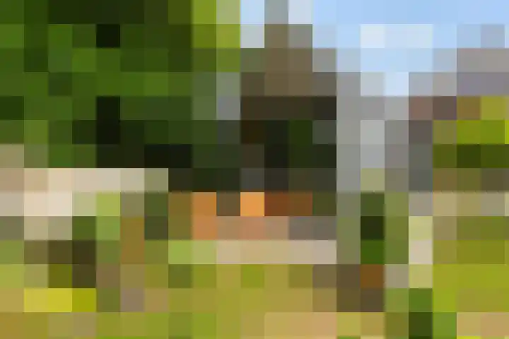 Koppenlaan 2 Soesterberg thumbnail 35