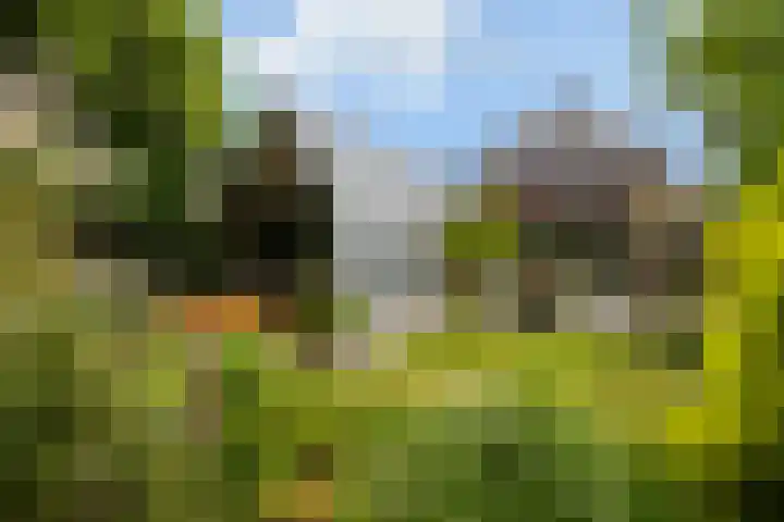 Koppenlaan 2 Soesterberg thumbnail 36