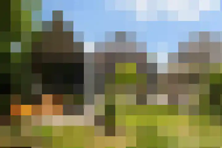 Koppenlaan 2 Soesterberg thumbnail 39