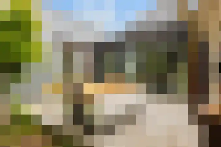 Koppenlaan 2 Soesterberg thumbnail 40