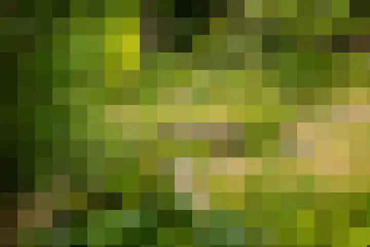 Koppenlaan 2 Soesterberg thumbnail 41